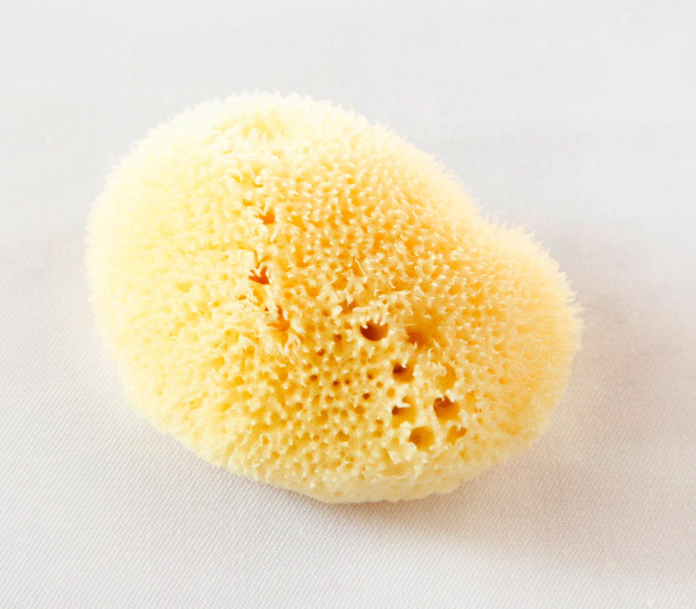 Esponja Marina Facial esponjafacial-hellogreen